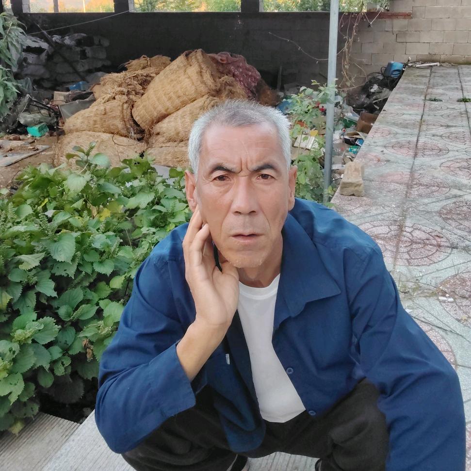 丹顶鹤