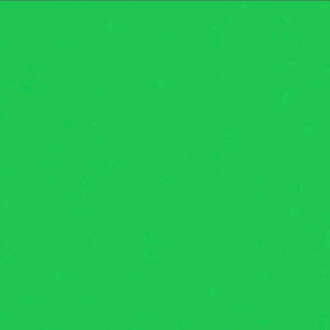 竹子