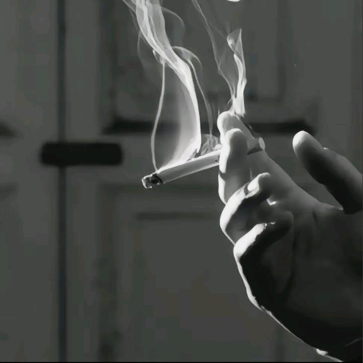 李庆庆