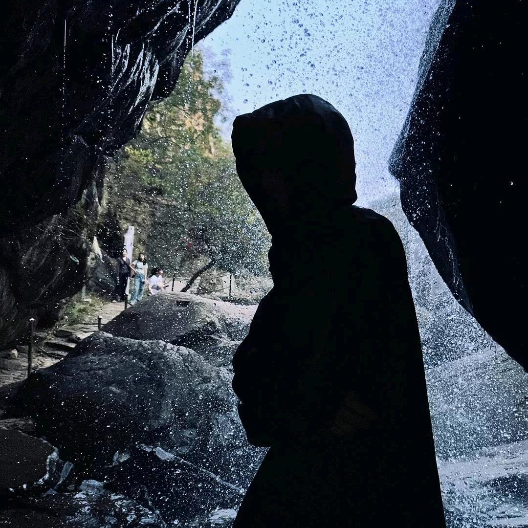 一棵白杨树　　　　　　╲