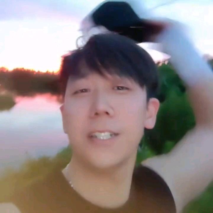 翠鸟