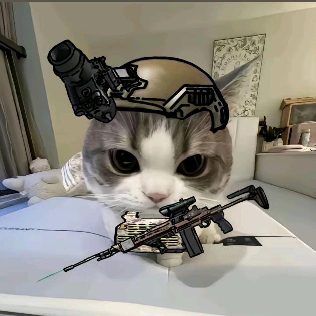 4626