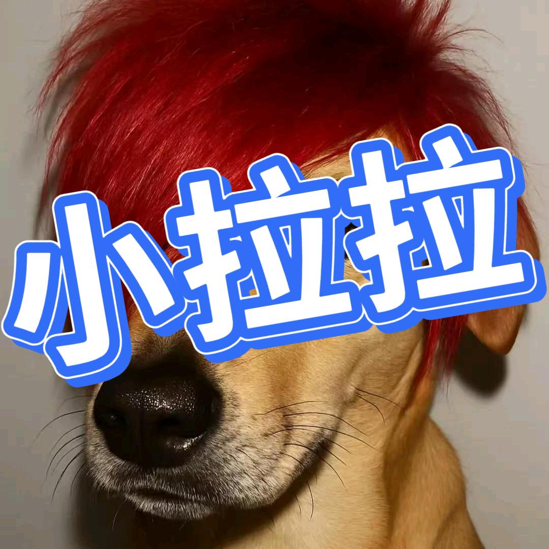小七✨
