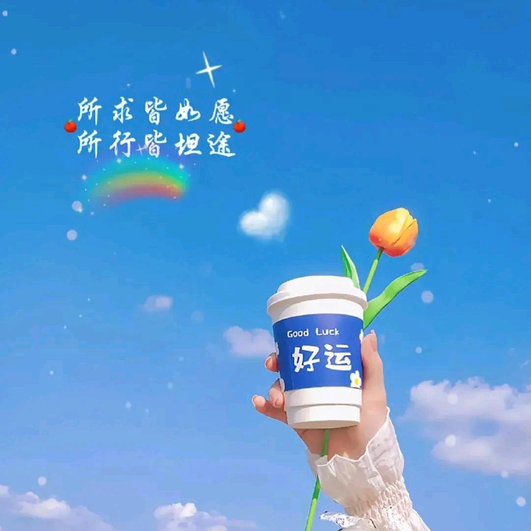 小飞☘☘☘