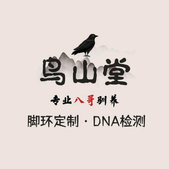 鸟山堂八哥科技