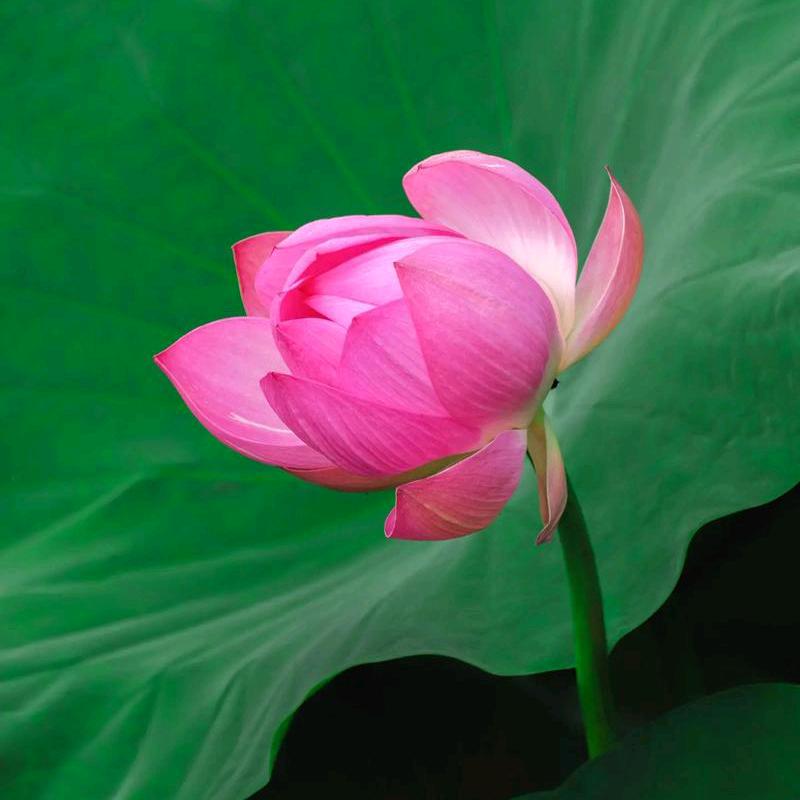 铭晨科技