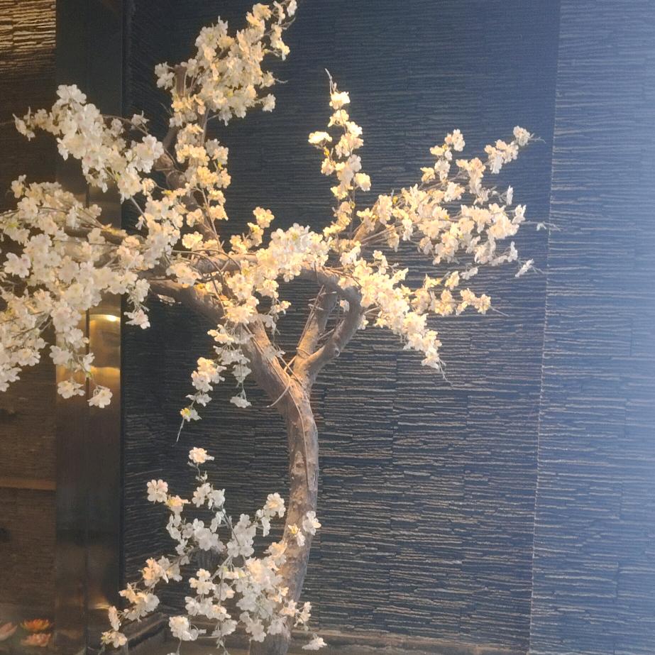 ღᩚ᭄婷妹ৡᩚ࿐: এ