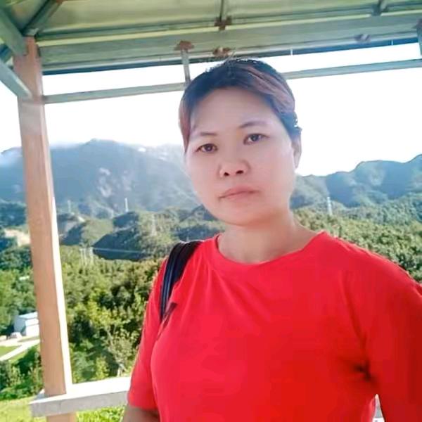 张阿姨（直播号）