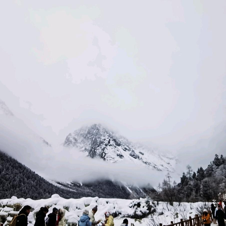 吃不饱的扶苏苏