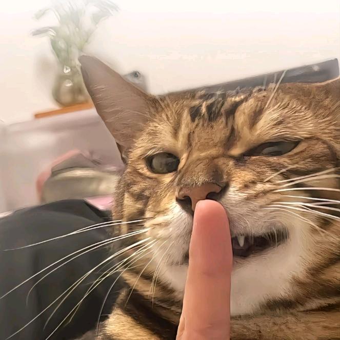 不知名打假主播