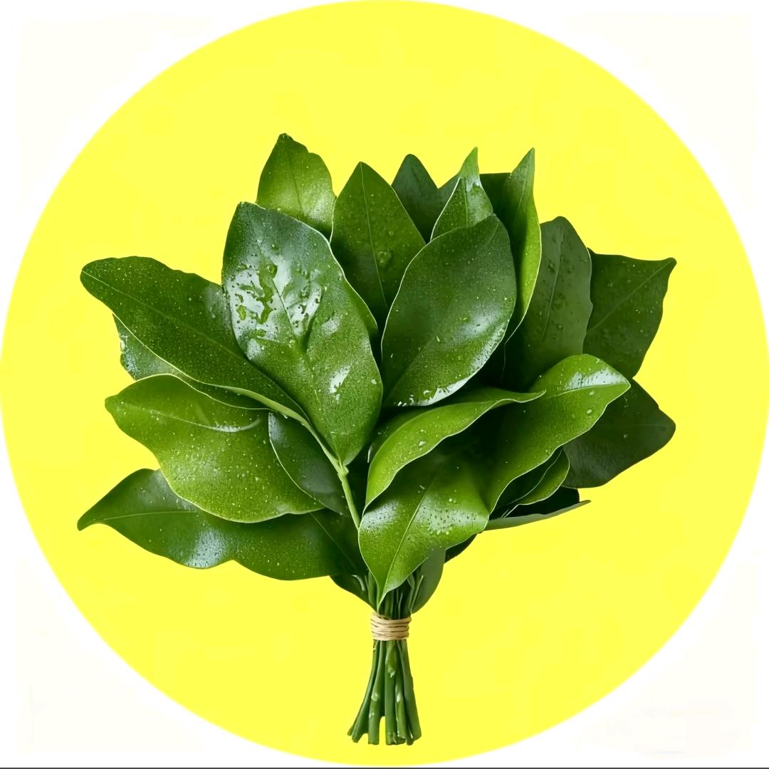 🌹95年的四胎妈妈（月子中）