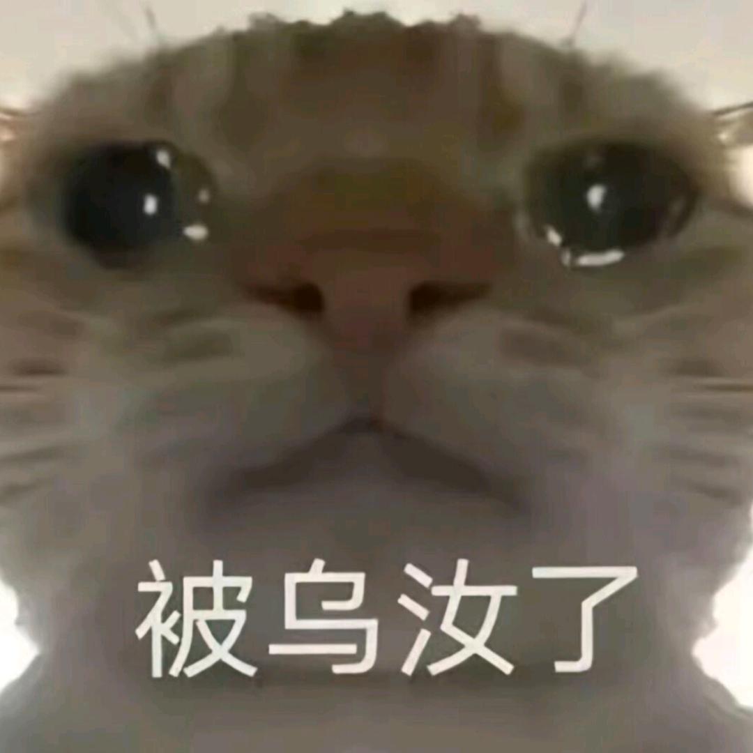 心心来了哦