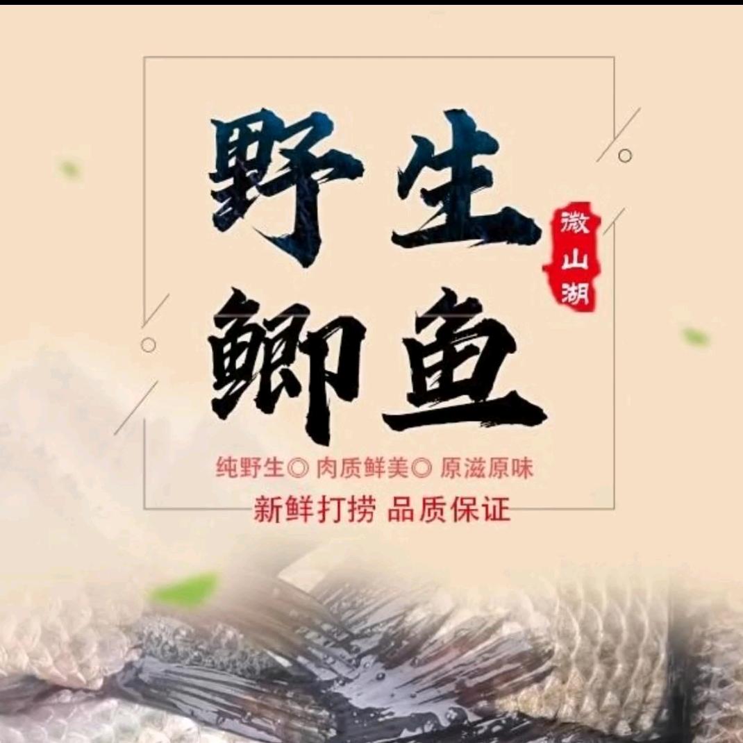 东洲市场星星水产