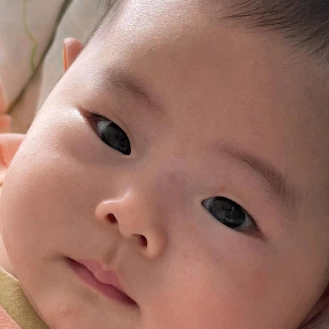 李东阳