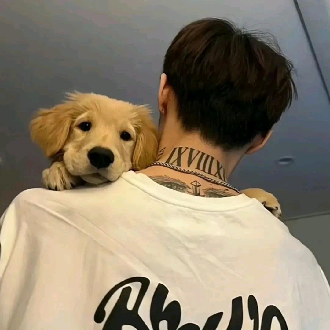 肄淰