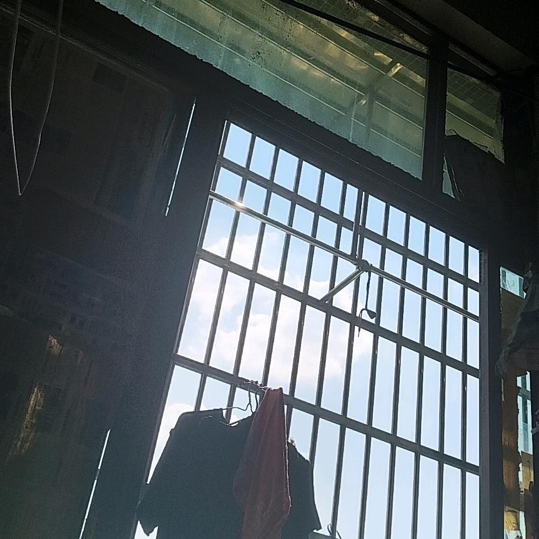 努力赚钱。