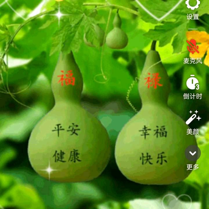 💞农村💞忠哥💞