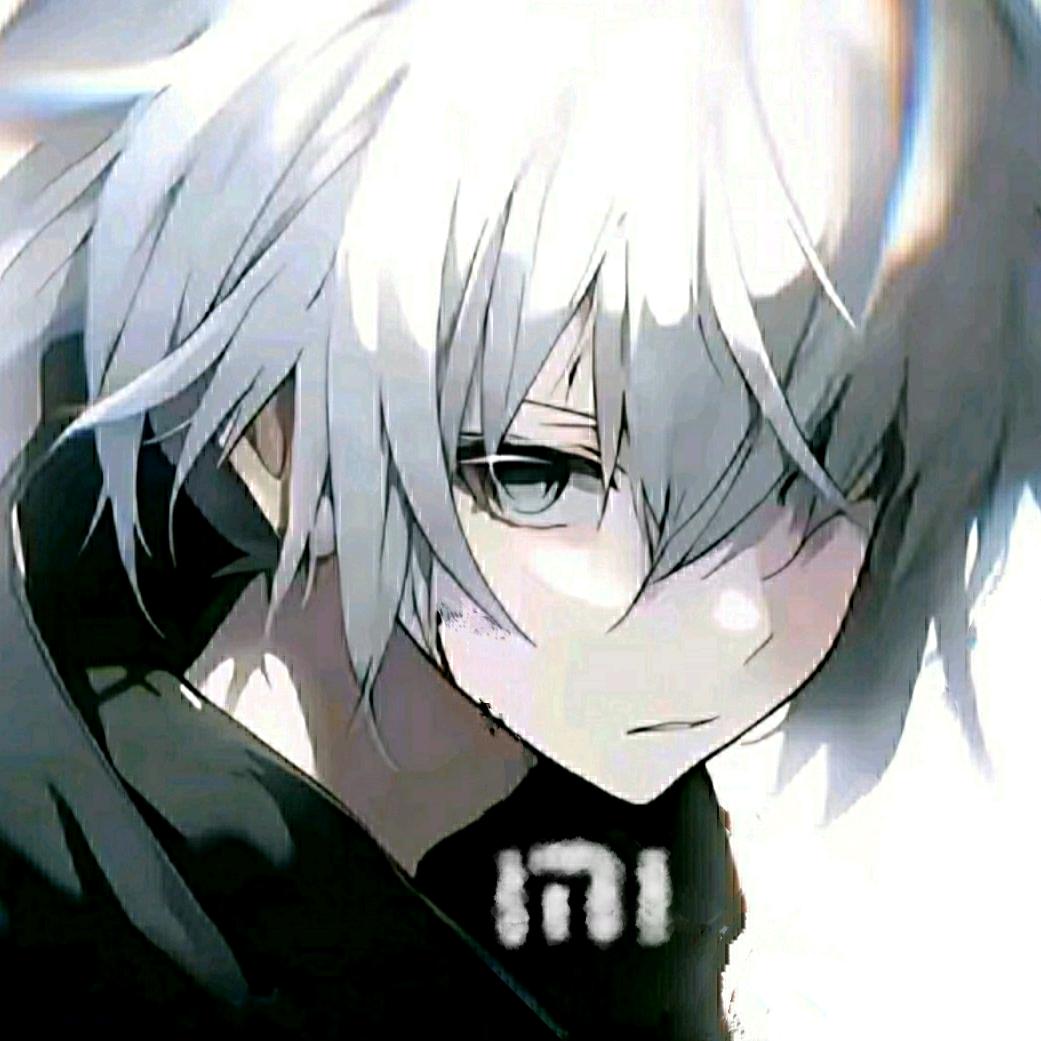 振杰y