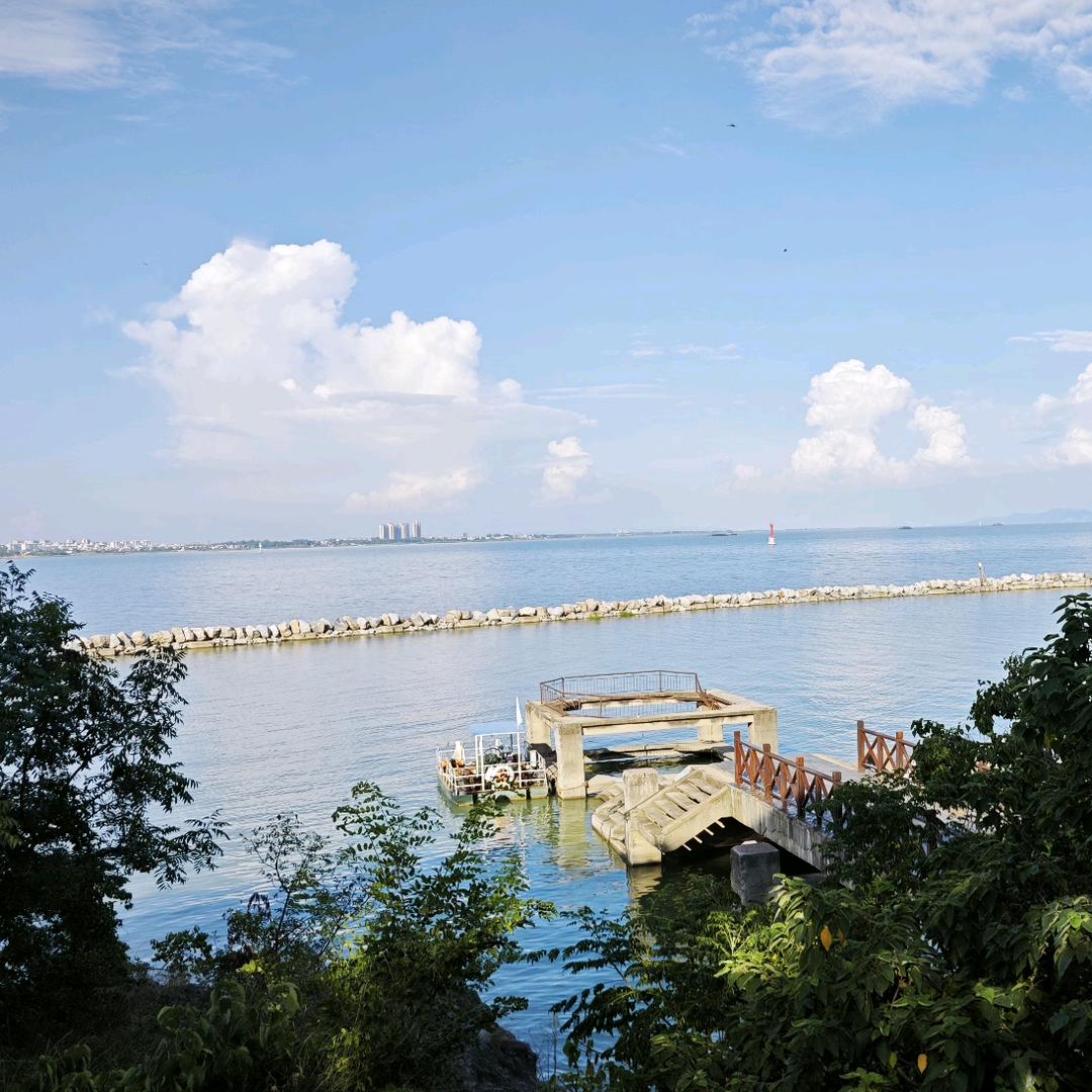 一直游到海水变蓝