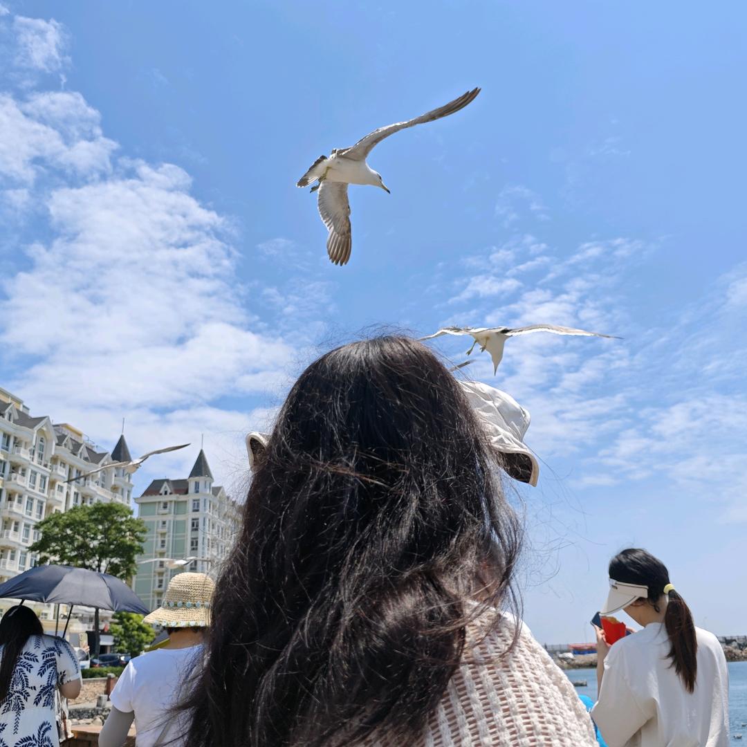 呓语🌾