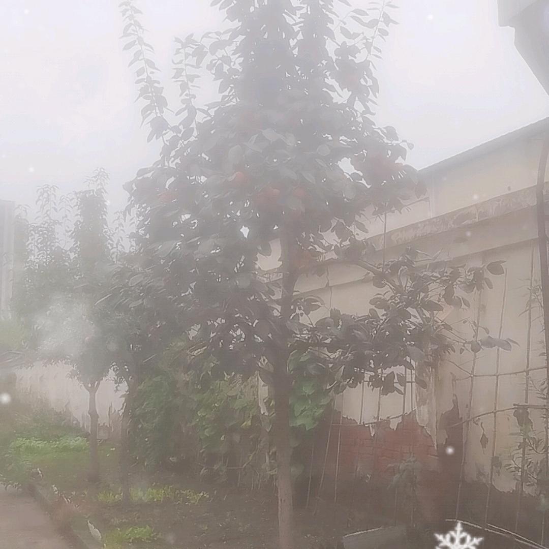 2075379120