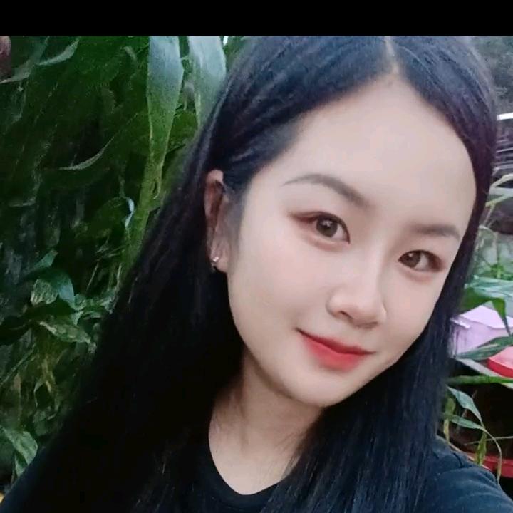 Z《沉珂》