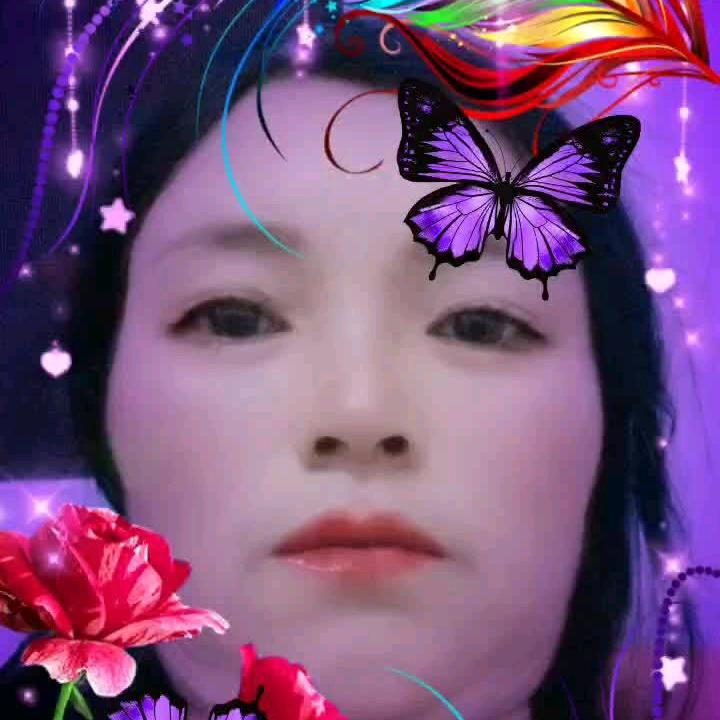 菊 & 花