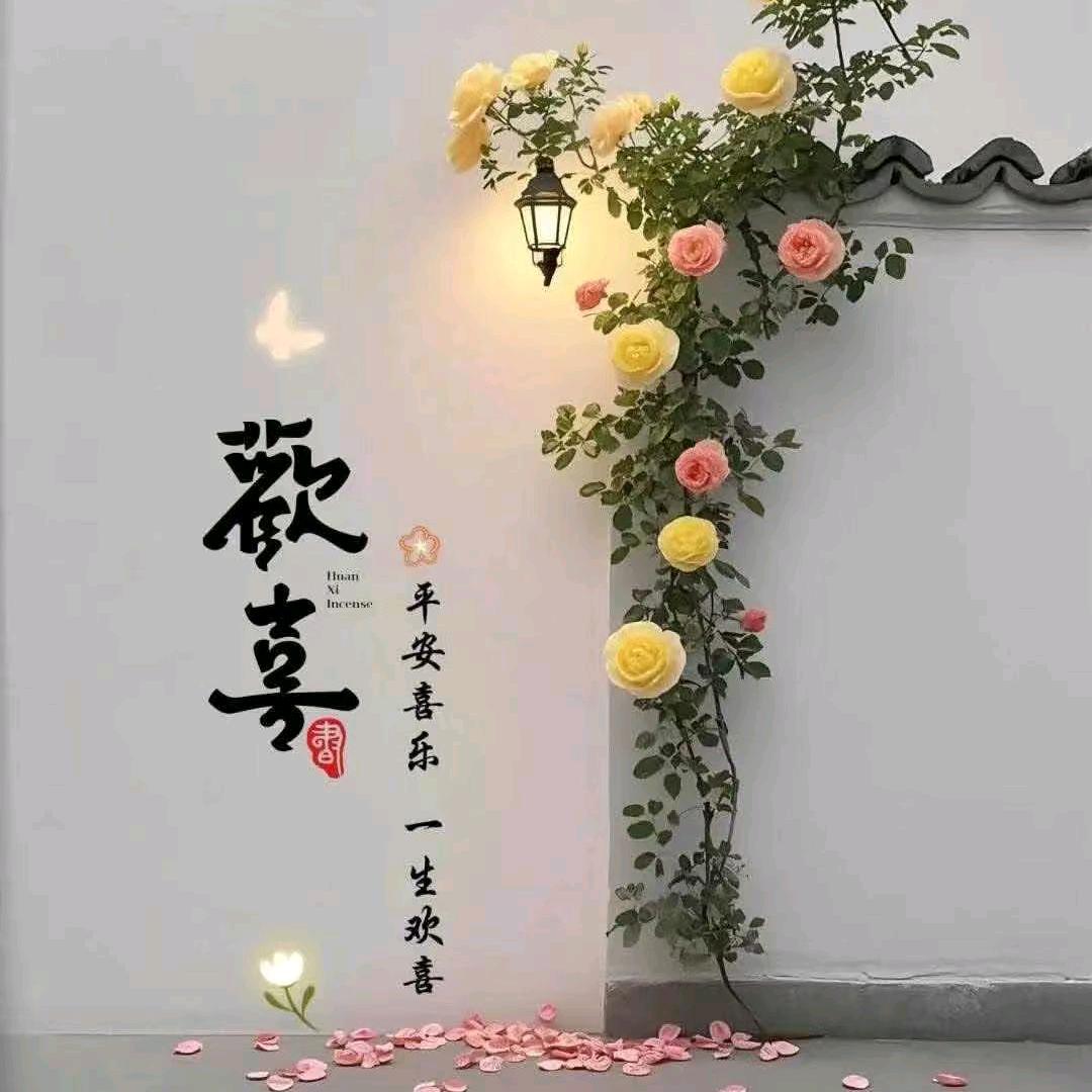 沪侬安玲