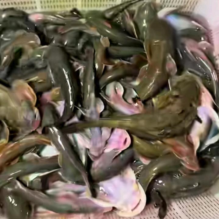 今生有缘