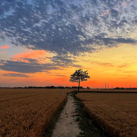 奶奶患癌 努力中