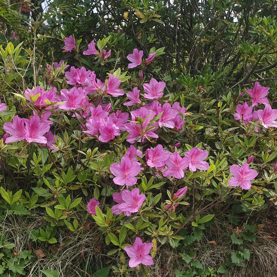 珍惜今生