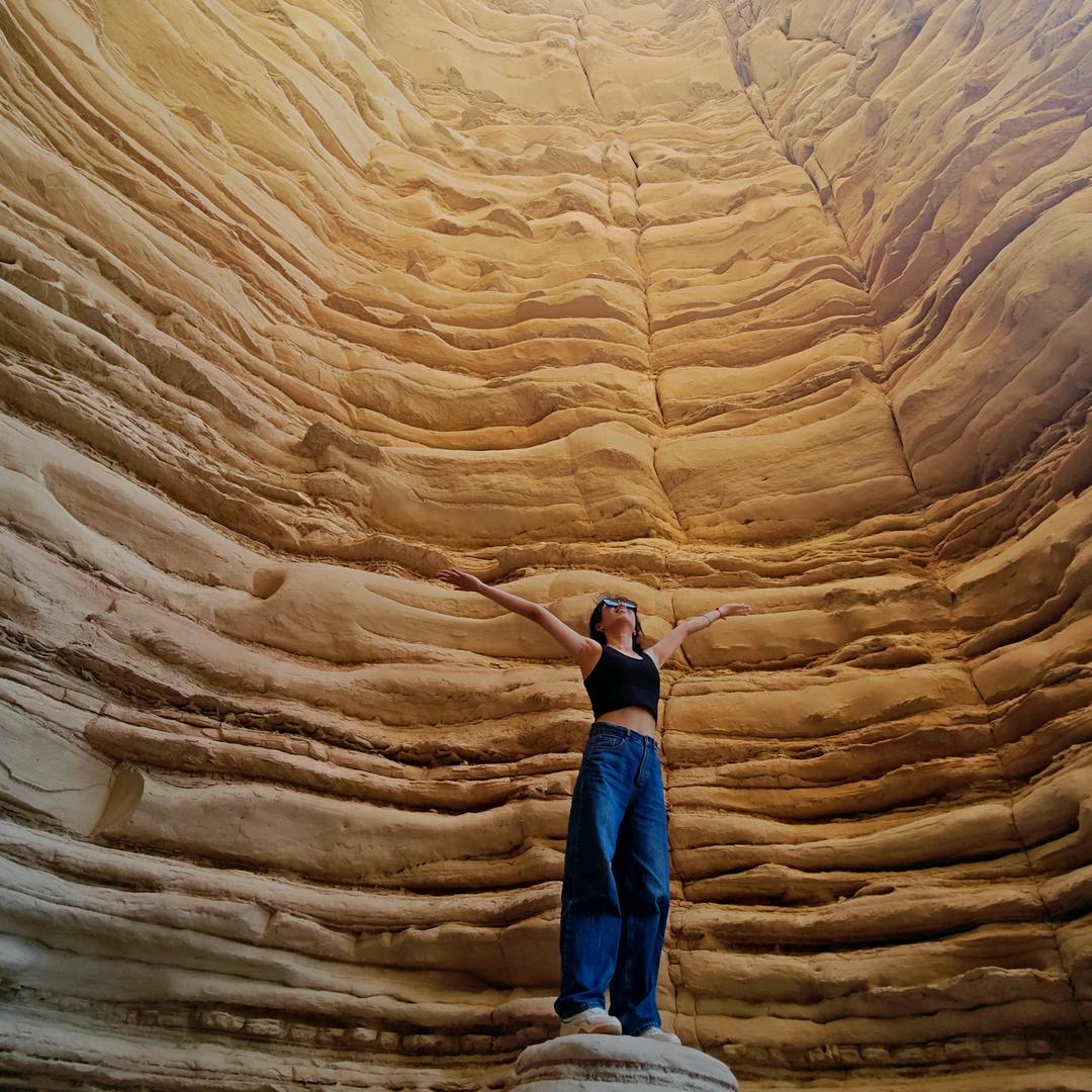 立志不做牛马的Soso