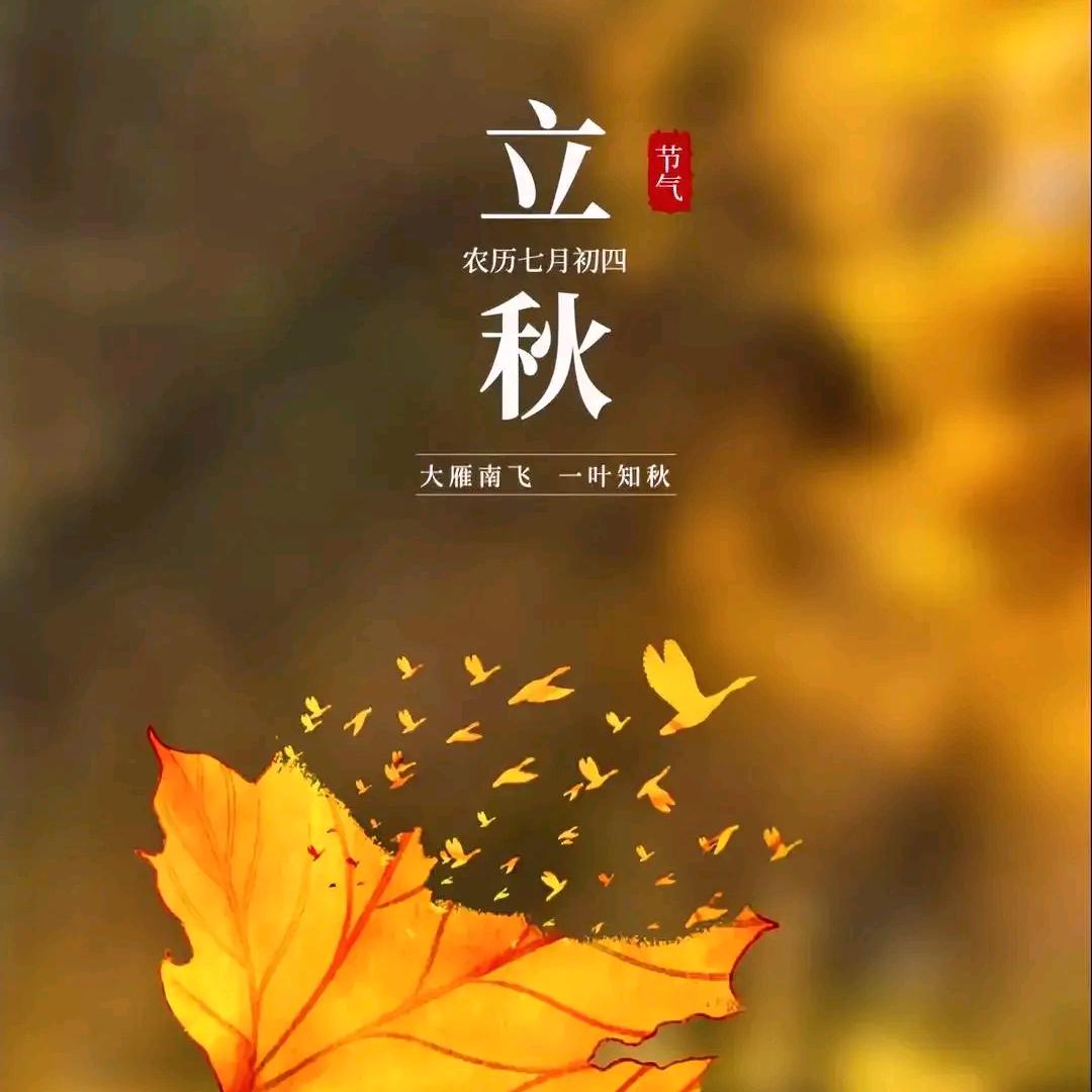 文圣区冰冰牛羊肉户