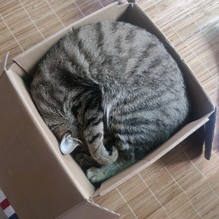 -_-头像