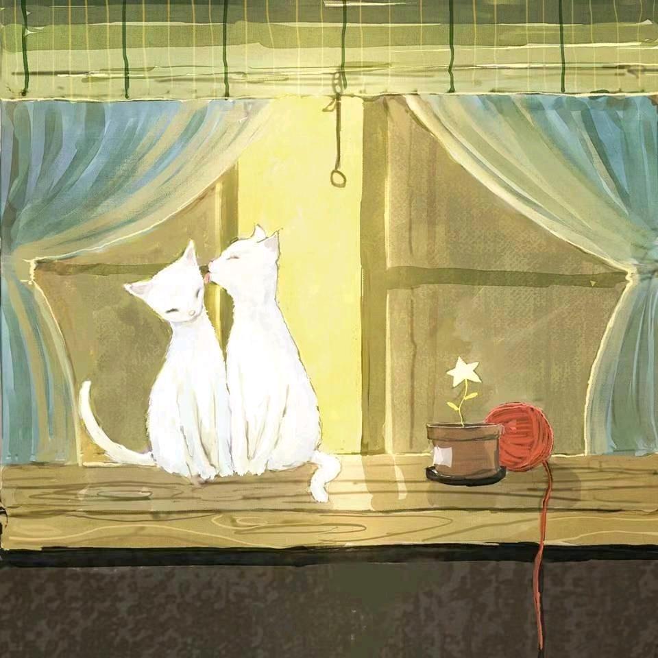 墨小白