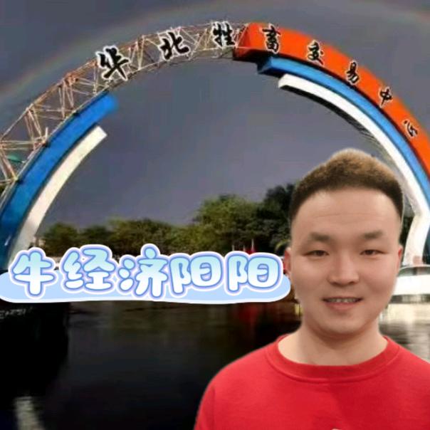 张北牛市~阳阳