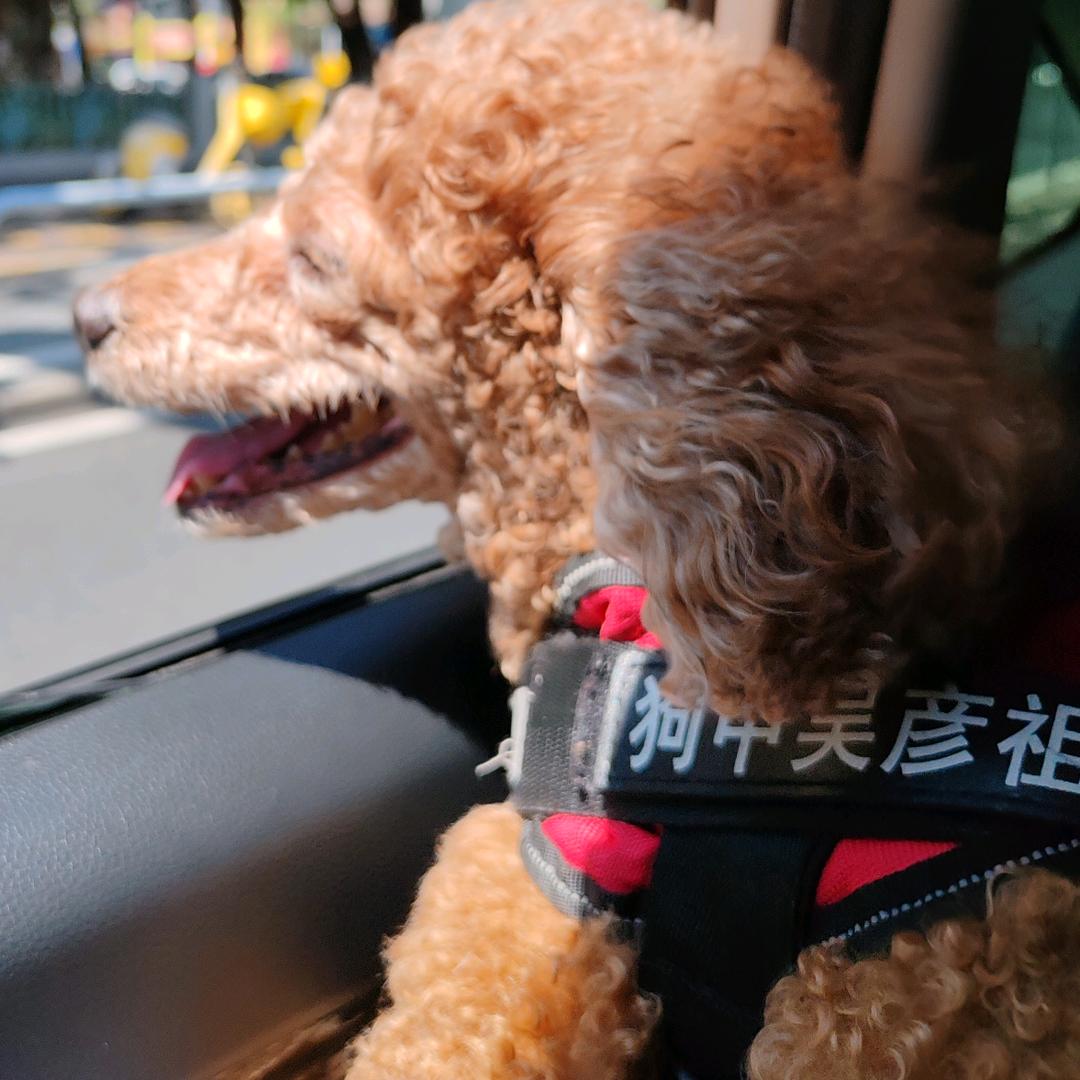 嘉_li💕头像