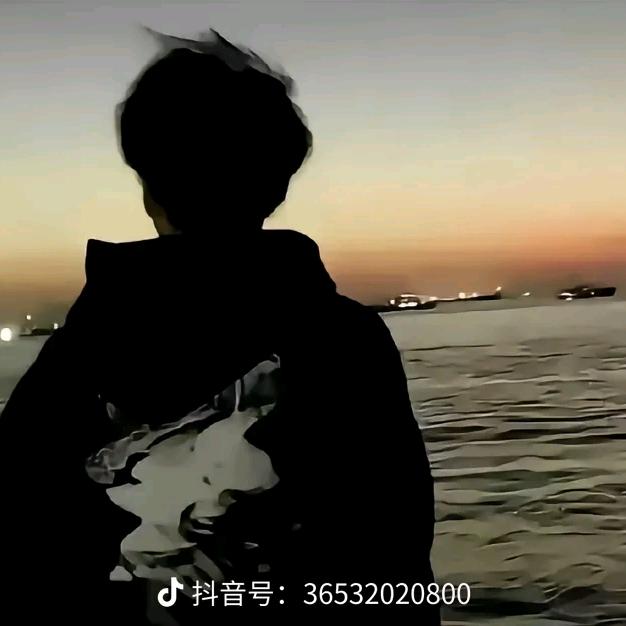 磁炮与蜂蜜头像