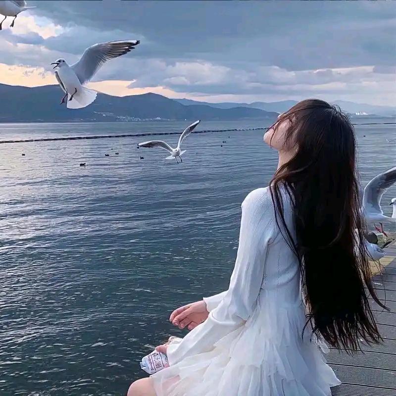 扬扬彩虹雨