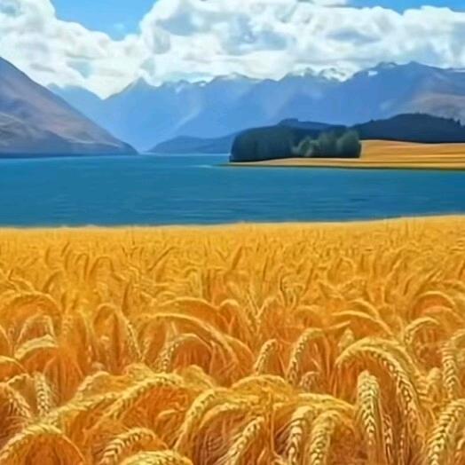 不发脾气🥀只发财🍭