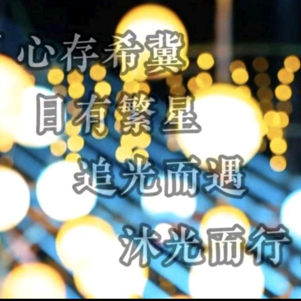 橄榄树