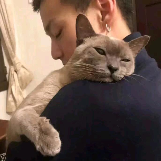 张泽顺