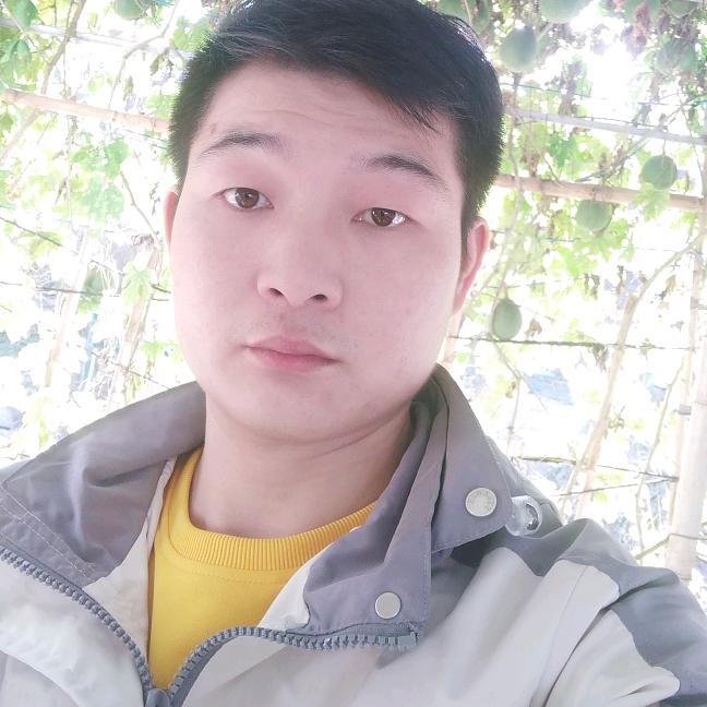 春风不识路