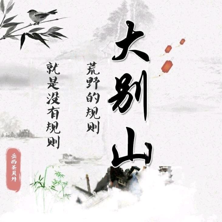 岳西茶员外