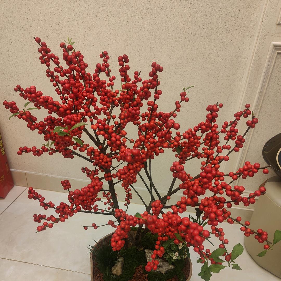 感谢有你陪伴