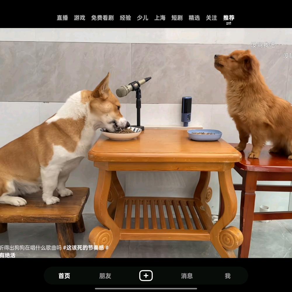 小小