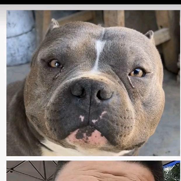 京津冀-144分战神