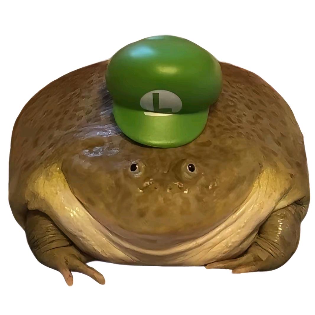 ⭐