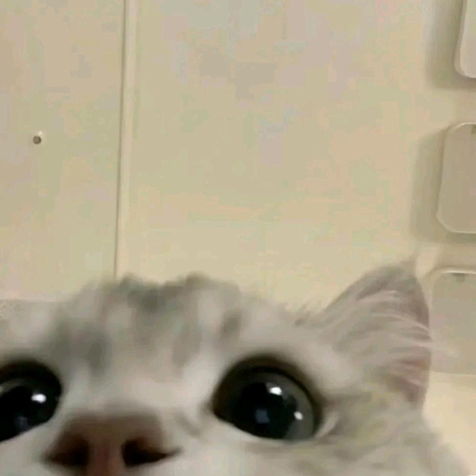 奇了个怪（9119）