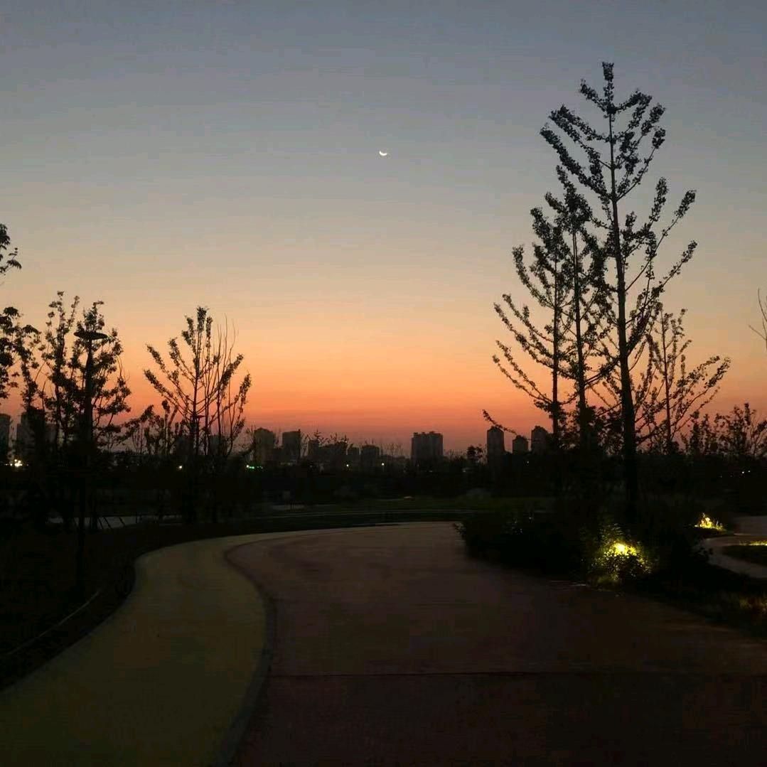 长建
